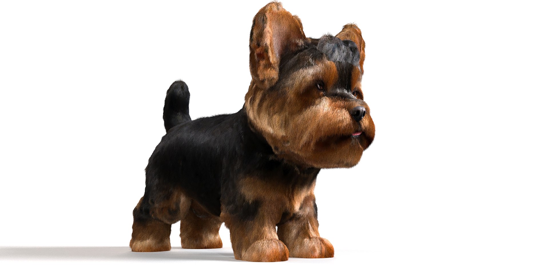 Dog Pack model https://p.turbosquid.com/ts-thumb/rL/e7yYw5/uN/5/jpg/1734359694/1920x1080/fit_q87/1b694ca70ddfef94e1518ed2c777c9dfdcdb2832/5.jpg