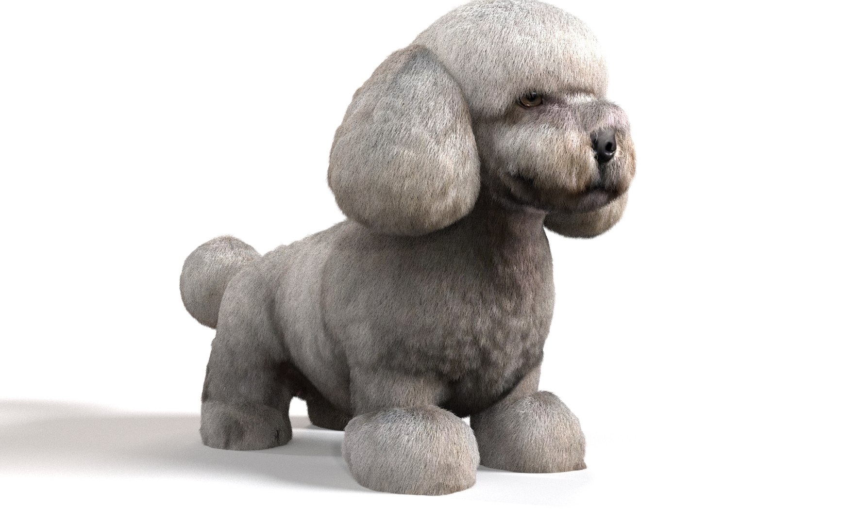 Dog Pack model https://p.turbosquid.com/ts-thumb/rL/e7yYw5/zz/8/jpg/1734359455/1920x1080/fit_q87/9a1967fba358509c9822b86ce9213eaac44582e9/8.jpg