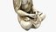 buddha statue 3D model