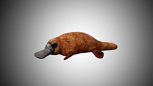 3D platypus rigged model