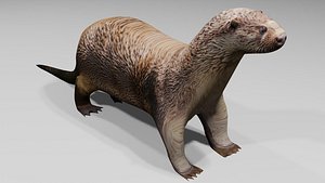 Otter Obj and Blend 3D model