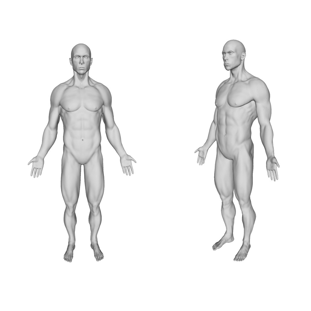 Realistic Male Body 3d 모델 Turbosquid 1974144 6073