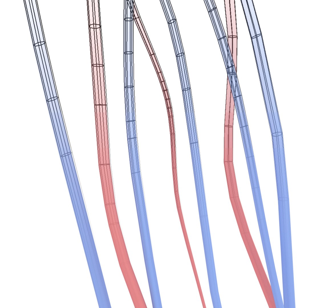 Human Body Complete Anatomy 3D Model Biology Diagrams