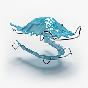 Dental Orthodontic Hawley Retainers 3D model