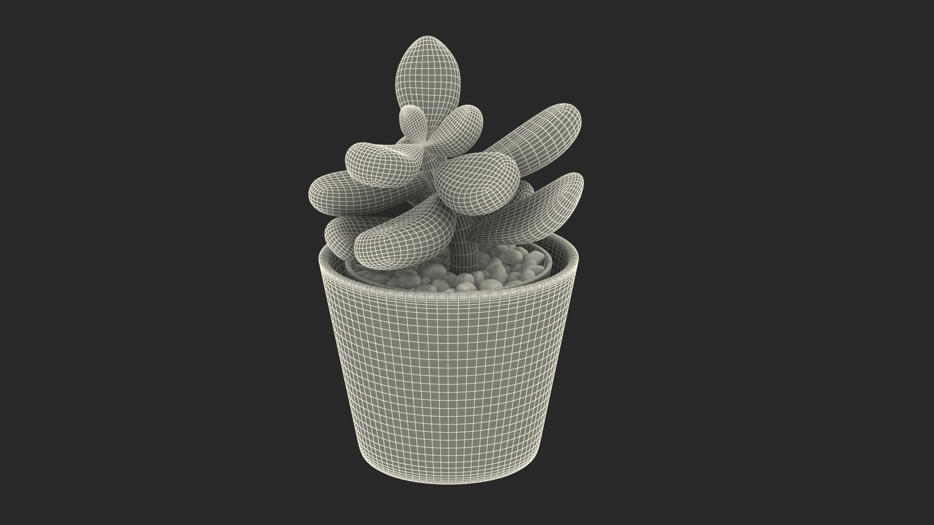 Decorative Indoor Plants Collection 3D https://p.turbosquid.com/ts-thumb/rM/OGZdqS/s1/succulent_plant_pachyphytum_361/jpg/1672130684/1920x1080/turn_fit_q99/182c49de38ccef87357275a8d5a4af4446f251c2/succulent_plant_pachyphytum_361-1.jpg