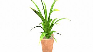 3D model Plant