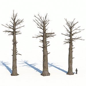 dead trees 3D model