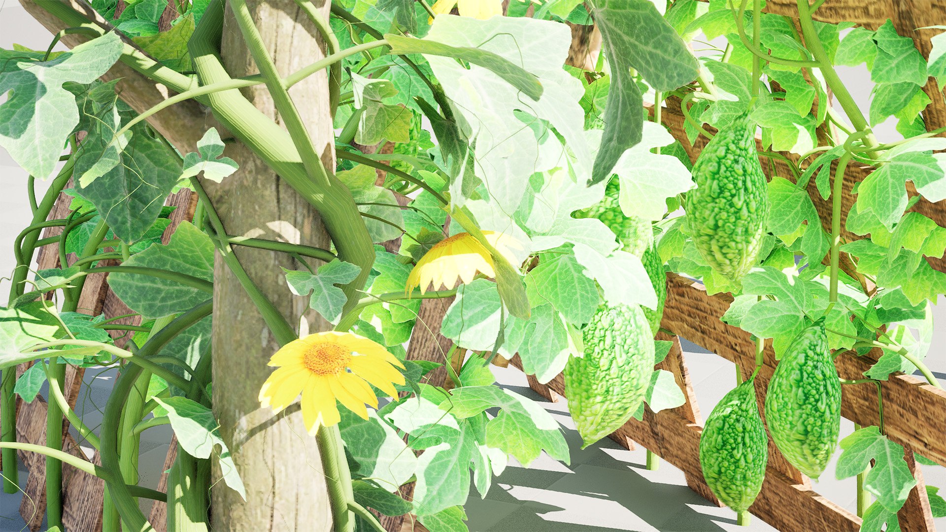 Bitter Gourd Vine 3D Model Collection 3D model https://p.turbosquid.com/ts-thumb/rM/ZaH58A/Ok/highresscreenshot00002/jpg/1761079024/1920x1080/fit_q87/cc9cf6549f4a8db25e62c718df7c08867aebe2d7/highresscreenshot00002.jpg
