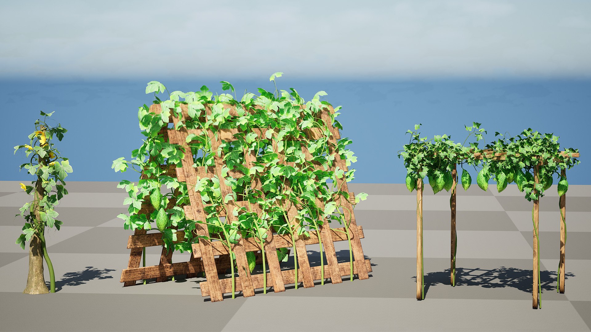 Bitter Gourd Vine 3D Model Collection 3D model https://p.turbosquid.com/ts-thumb/rM/ZaH58A/cf/highresscreenshot00000/jpg/1761079022/1920x1080/fit_q87/a72c4cd6b1b3a5896d42b2c438dde5d38bdbb717/highresscreenshot00000.jpg