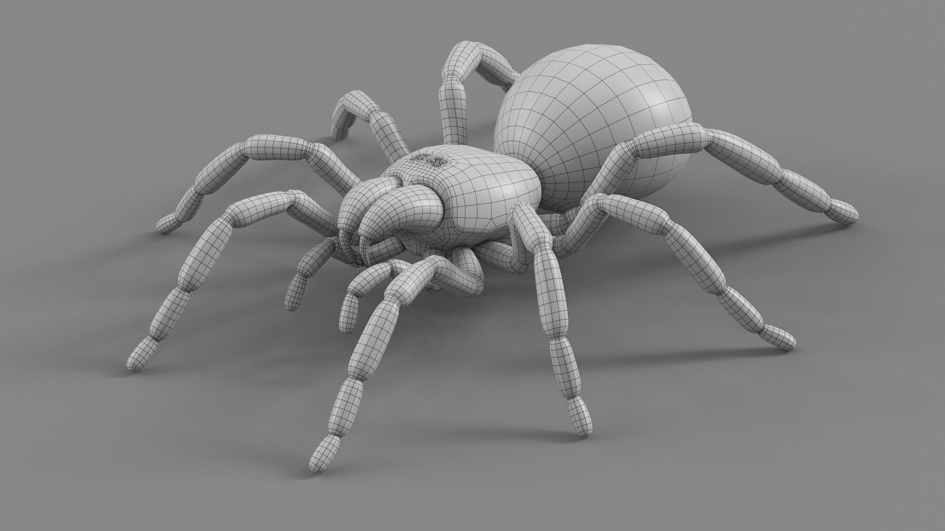 3D Tarantula Spider Rigged Xgen https://p.turbosquid.com/ts-thumb/rM/b5aDKY/3Y/tarantula_34/jpg/1726819826/1920x1080/fit_q87/1320d38ab1a31ec1ce62f753a5d52e477cf43db2/tarantula_34.jpg