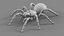 3D Tarantula Spider Rigged Xgen