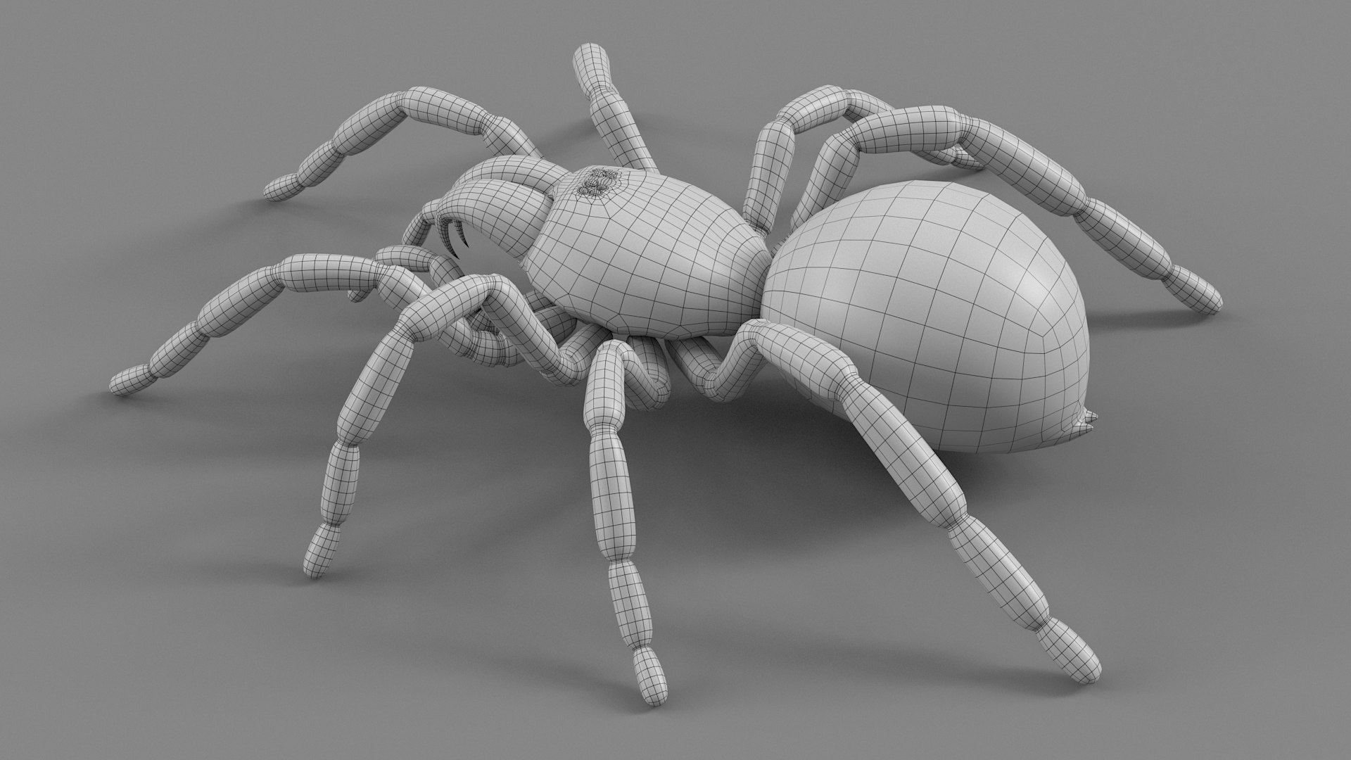 3D Tarantula Spider Rigged Xgen https://p.turbosquid.com/ts-thumb/rM/b5aDKY/6X/tarantula_33/jpg/1726819825/1920x1080/fit_q87/711027b61dd8a2ca15014a22433f27f13e2e9f30/tarantula_33.jpg