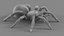3D Tarantula Spider Rigged Xgen