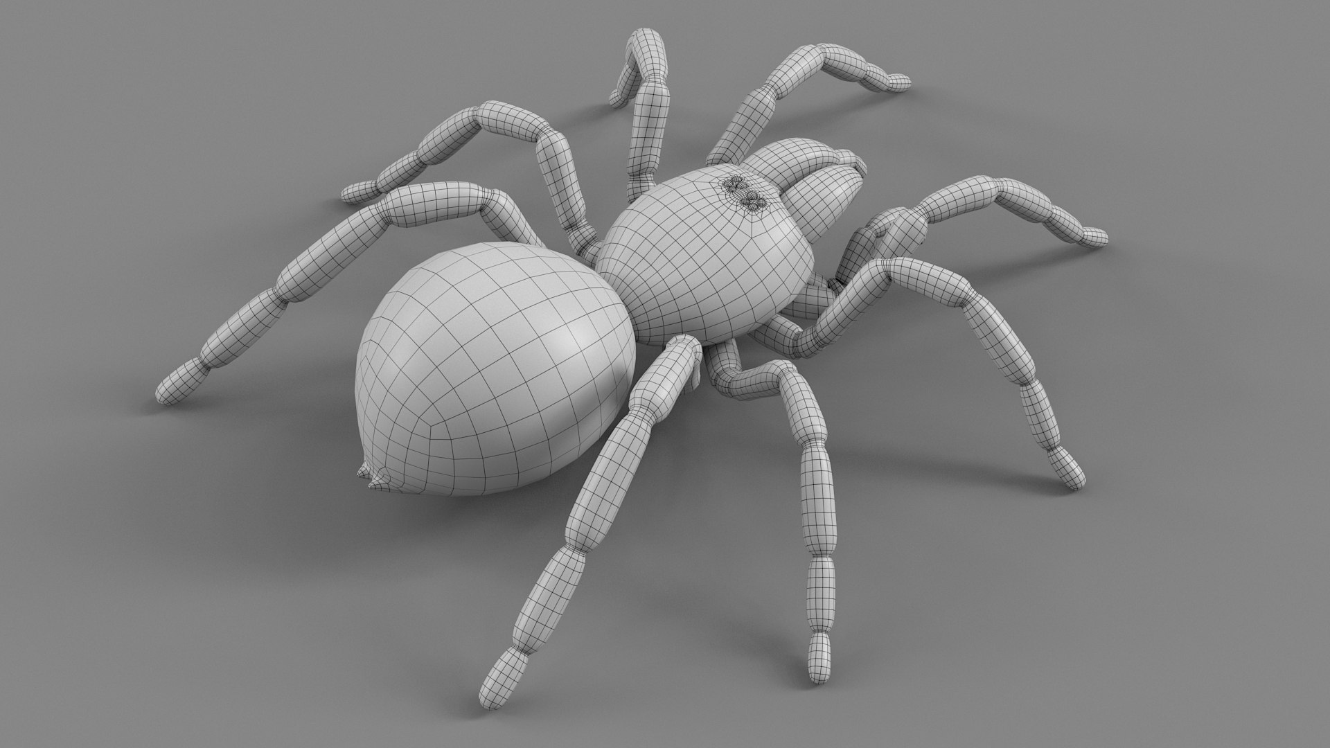 3D Tarantula Spider Rigged Xgen https://p.turbosquid.com/ts-thumb/rM/b5aDKY/9p/tarantula_30/jpg/1726819821/1920x1080/fit_q87/219e12543e83585bfcb2d18a769208e0f985b513/tarantula_30.jpg