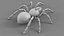 3D Tarantula Spider Rigged Xgen