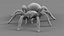 3D Tarantula Spider Rigged Xgen