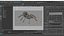 3D Tarantula Spider Rigged Xgen
