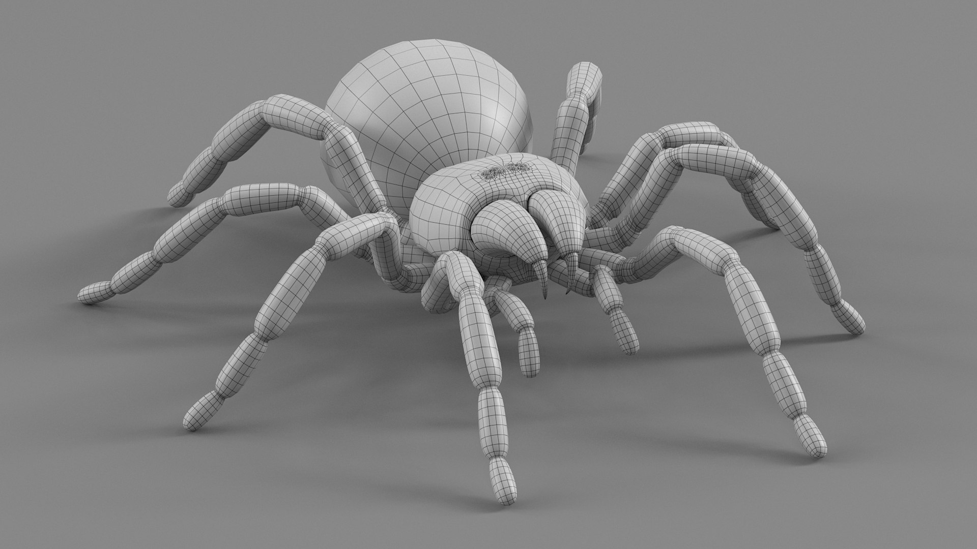 3D Tarantula Spider Rigged Xgen https://p.turbosquid.com/ts-thumb/rM/b5aDKY/Mt/tarantula_36/jpg/1726819829/1920x1080/fit_q87/be165a42be0258346425ec08f0f47ece7f45e886/tarantula_36.jpg