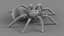 3D Tarantula Spider Rigged Xgen