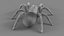 3D Tarantula Spider Rigged Xgen