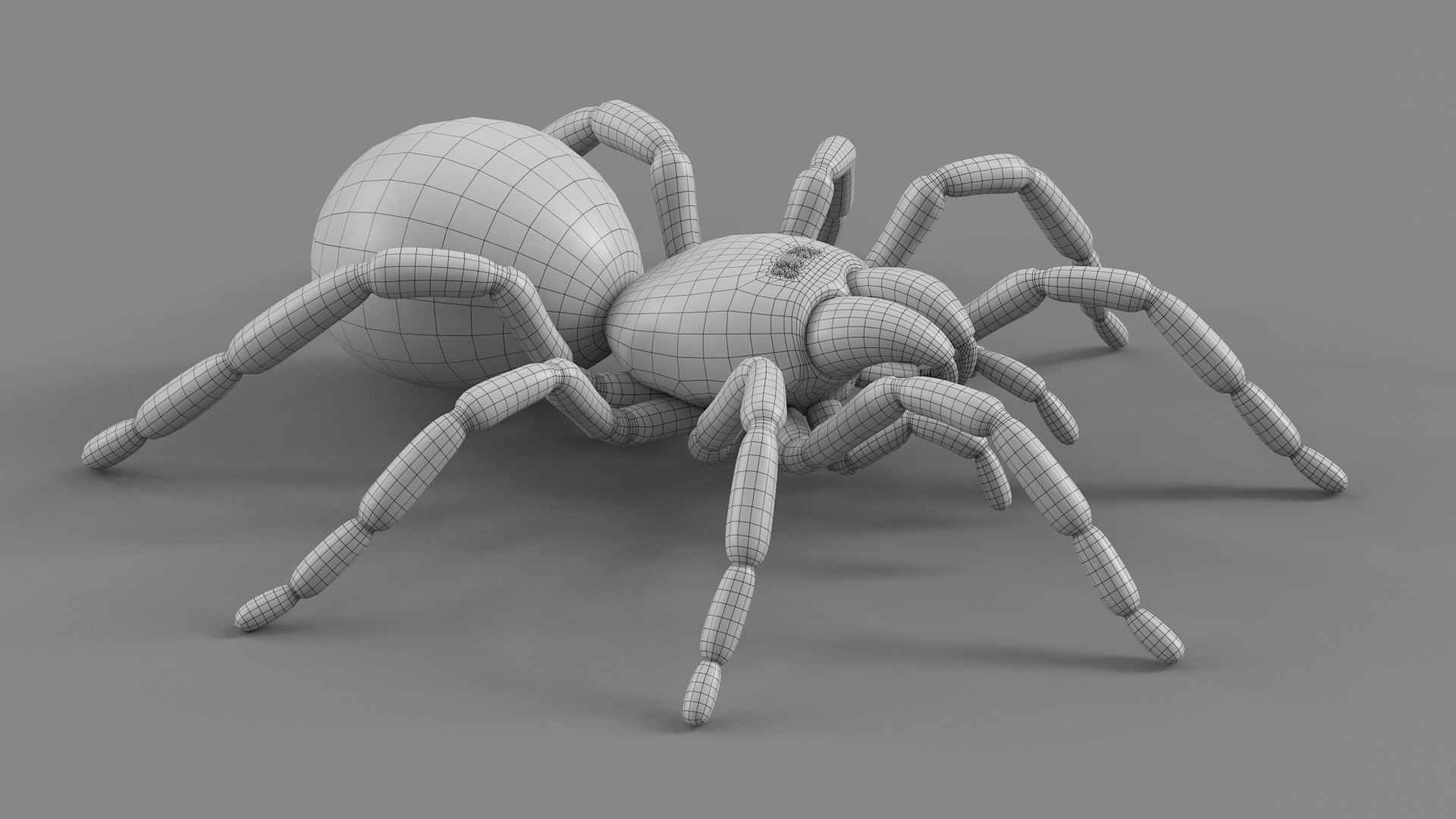 3D Tarantula Spider Rigged Xgen https://p.turbosquid.com/ts-thumb/rM/b5aDKY/SI/tarantula_28/jpg/1726819816/1920x1080/fit_q87/c6b7662efecbed33423f7bb3301cce9fb8f55bb1/tarantula_28.jpg