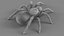 3D Tarantula Spider Rigged Xgen