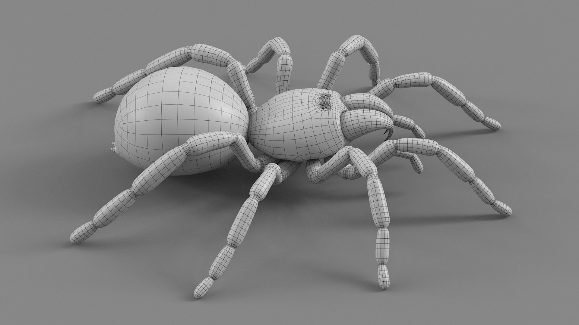 3D Tarantula Spider Rigged Xgen https://p.turbosquid.com/ts-thumb/rM/b5aDKY/UY/tarantula_29/jpg/1726819819/1920x1080/fit_q87/1cbca53b6ef9904abc374cc9bff765aaaa2f842c/tarantula_29.jpg