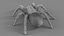 3D Tarantula Spider Rigged Xgen