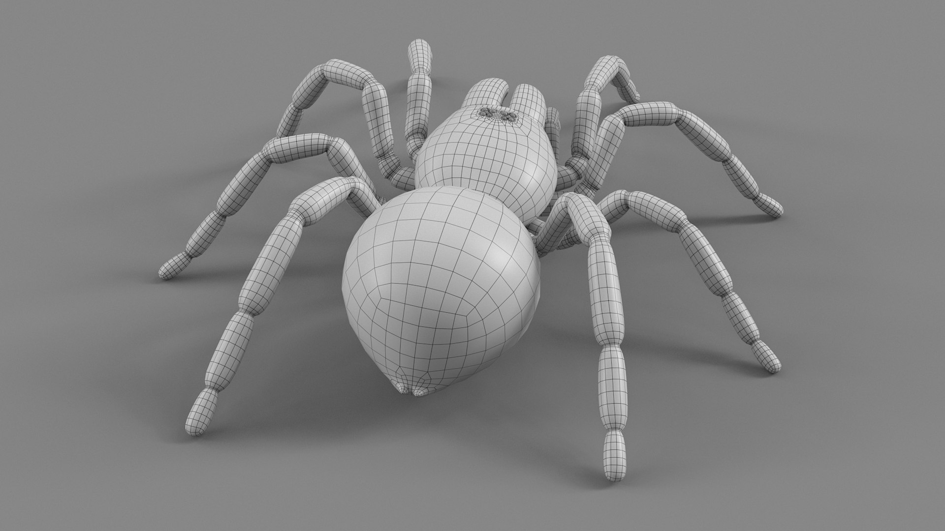 3D Tarantula Spider Rigged Xgen https://p.turbosquid.com/ts-thumb/rM/b5aDKY/Y6/tarantula_31/jpg/1726819821/1920x1080/fit_q87/198bb73e54fd09d5c523f380bfed229e0ba46e85/tarantula_31.jpg