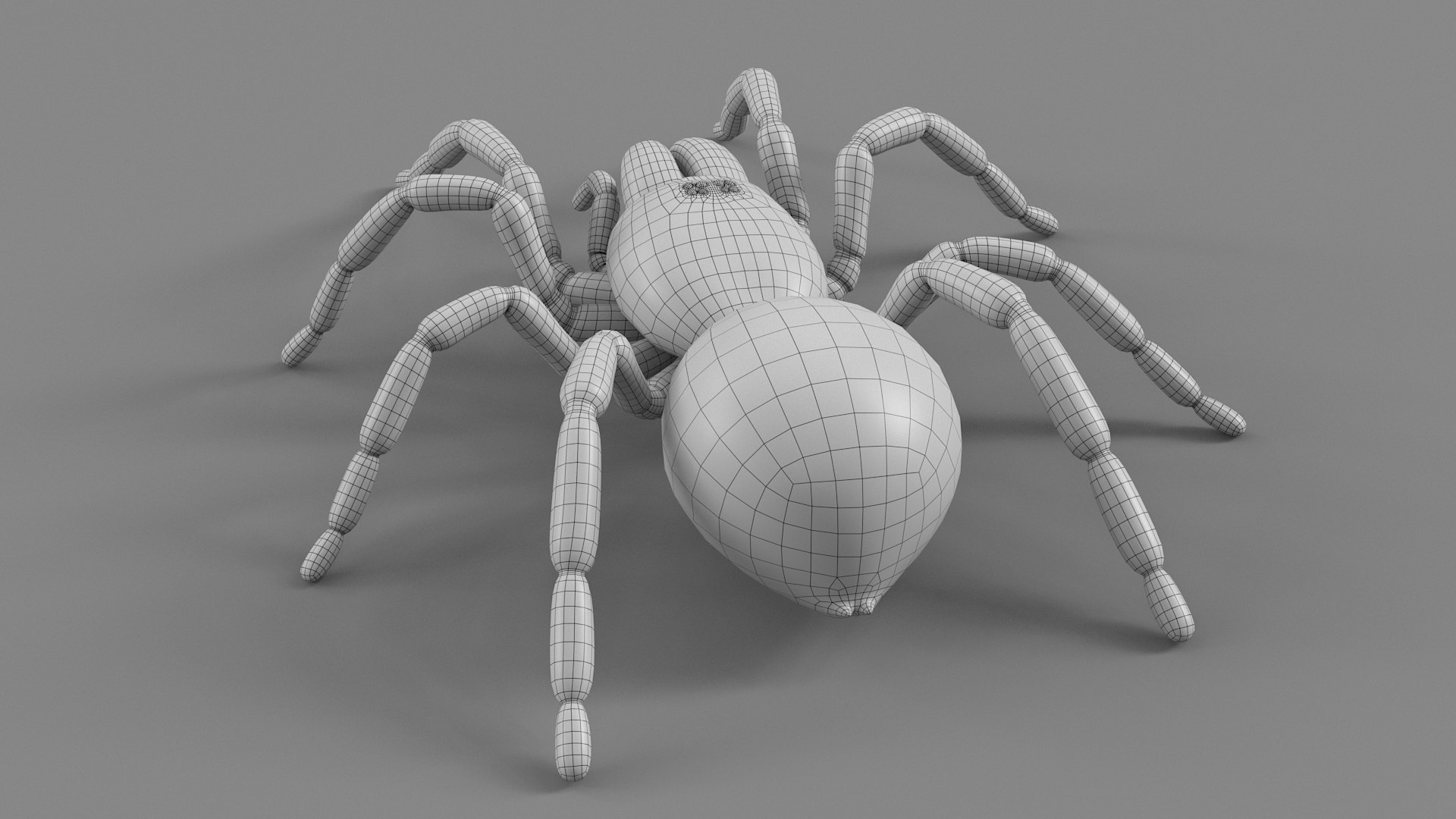 3D Tarantula Spider Rigged Xgen https://p.turbosquid.com/ts-thumb/rM/b5aDKY/gb/tarantula_32/jpg/1726819823/1920x1080/fit_q87/d6a5810490c59330256afa6574f74a9b849f51de/tarantula_32.jpg