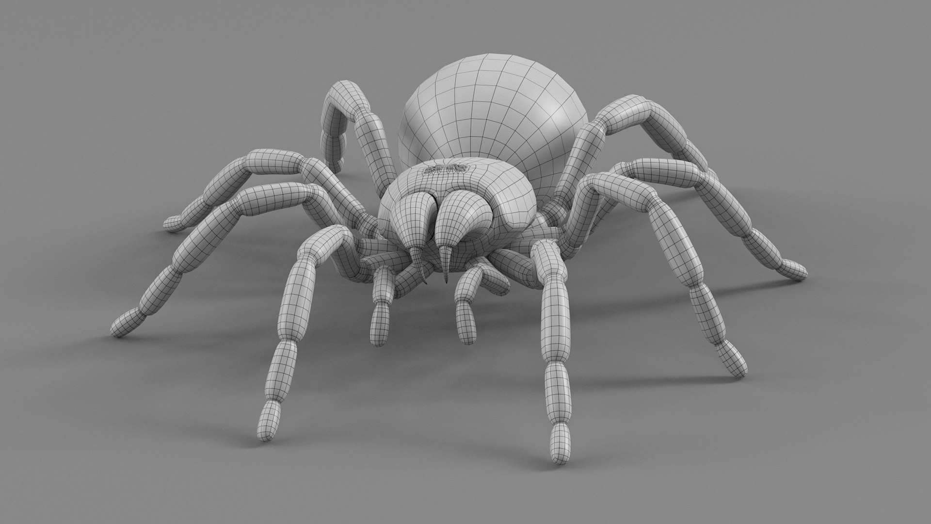 3D Tarantula Spider Rigged Xgen https://p.turbosquid.com/ts-thumb/rM/b5aDKY/hX/tarantula_35/jpg/1726819827/1920x1080/fit_q87/0ae808ccf4ba6c56a20ee7704803ff21a484e7eb/tarantula_35.jpg