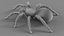 3D Tarantula Spider Rigged Xgen