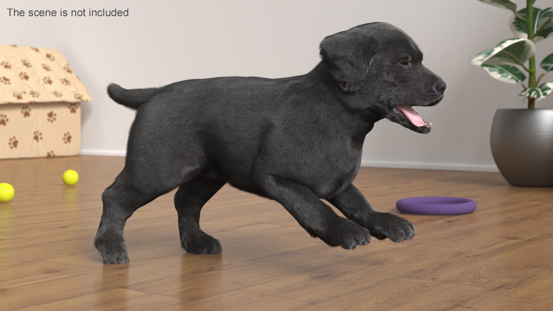Walking to Running Retriever Puppy Fur Animated Rigged 3D model https://p.turbosquid.com/ts-thumb/rM/cn5dBg/4q/walking_to_running_retriever_puppy_fur_animated_rigged_004/jpg/1747889814/1920x1080/fit_q87/5ad727c3a1b7b7f1b6230acd66a92837ec068858/walking_to_running_retriever_puppy_fur_animated_rigged_004.jpg