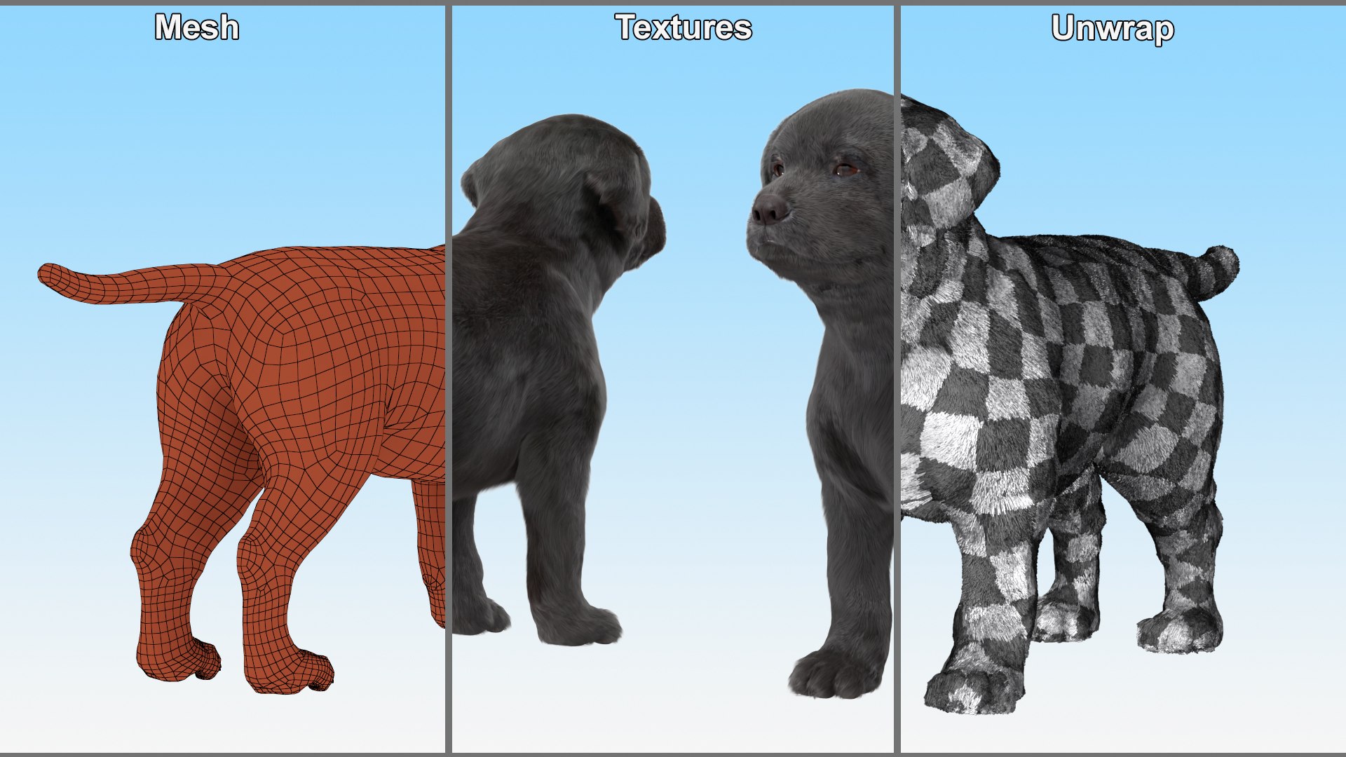 Walking to Running Retriever Puppy Fur Animated Rigged 3D model https://p.turbosquid.com/ts-thumb/rM/cn5dBg/50/walking_to_running_retriever_puppy_fur_animated_rigged_010/jpg/1747889835/1920x1080/fit_q87/274394afa01b4c3377657f4d985f7c604a566649/walking_to_running_retriever_puppy_fur_animated_rigged_010.jpg