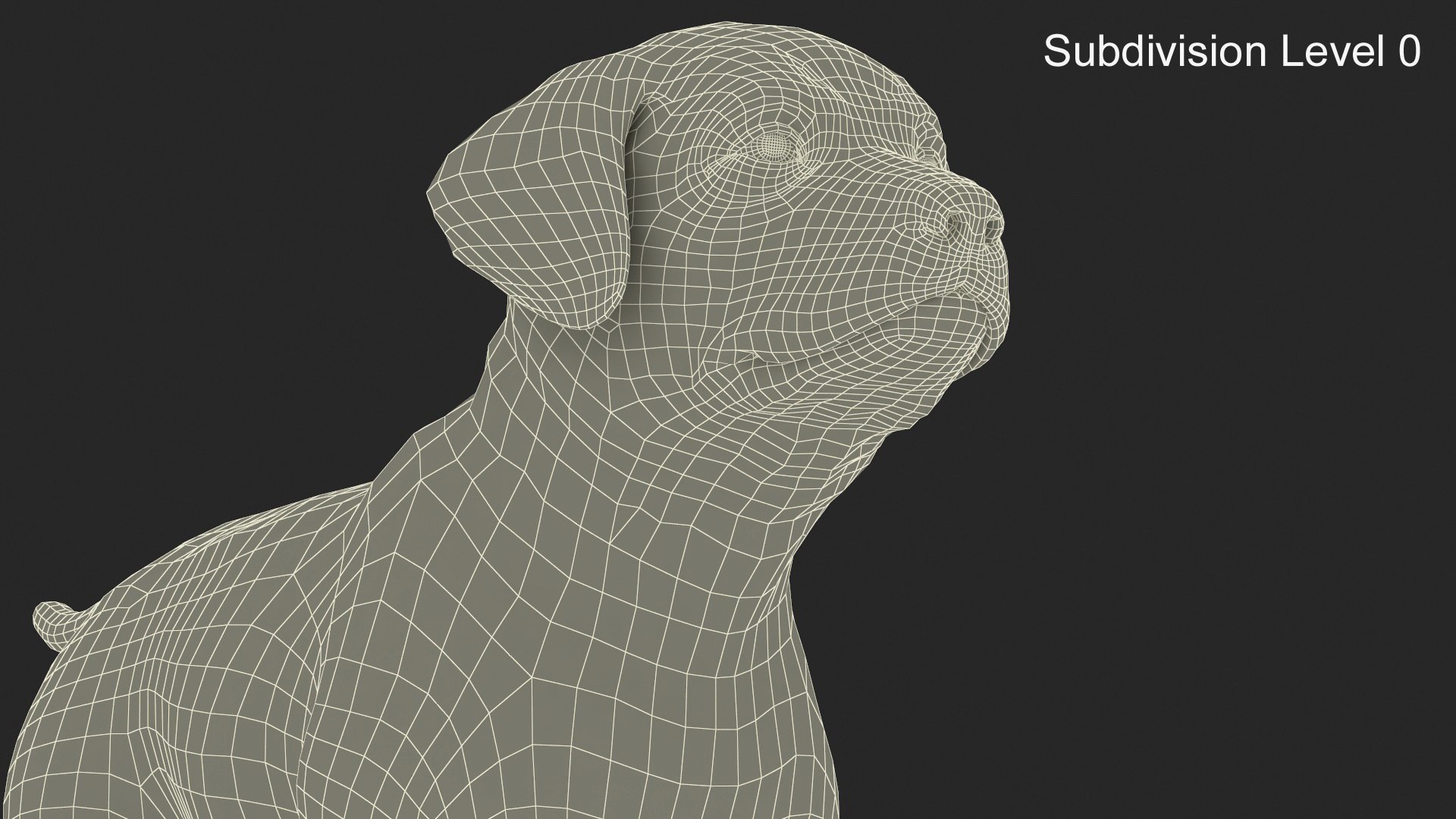 Walking to Running Retriever Puppy Fur Animated Rigged 3D model https://p.turbosquid.com/ts-thumb/rM/cn5dBg/6i/walking_to_running_retriever_puppy_fur_animated_rigged_011/jpg/1747889839/1920x1080/fit_q87/56b79df0975b1428114adcf92bb76e13a0319bac/walking_to_running_retriever_puppy_fur_animated_rigged_011.jpg