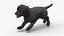 Walking to Running Retriever Puppy Fur Animated Rigged