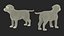 Walking to Running Retriever Puppy Fur Animated Rigged