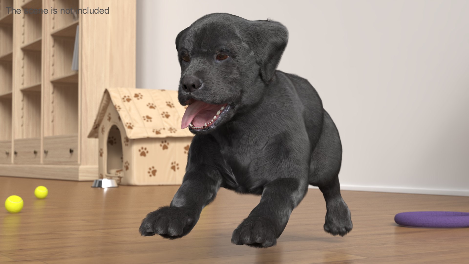 Walking to Running Retriever Puppy Fur Animated Rigged 3D model https://p.turbosquid.com/ts-thumb/rM/cn5dBg/ls/walking_to_running_retriever_puppy_fur_animated_rigged_005/jpg/1747889817/1920x1080/fit_q87/eab1738efc12e269ec64622c30475a8fac14b786/walking_to_running_retriever_puppy_fur_animated_rigged_005.jpg