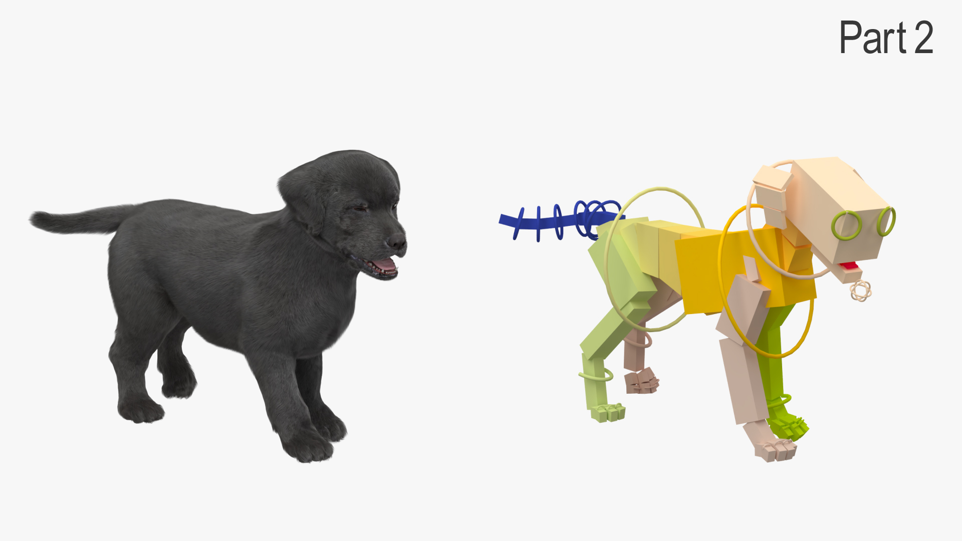 Walking to Running Retriever Puppy Fur Animated Rigged 3D model https://p.turbosquid.com/ts-thumb/rM/cn5dBg/nP/walking_to_running_retriever_puppy_fur_animated_rigged_361/jpg/1747889573/1920x1080/turn_fit_q99/a86e193d8b9d9b79045f02ff31e8f5dc2081af4f/walking_to_running_retriever_puppy_fur_animated_rigged_361-1.jpg