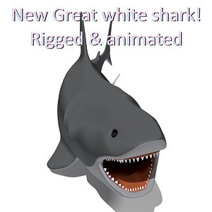 free big shark animation 3d model