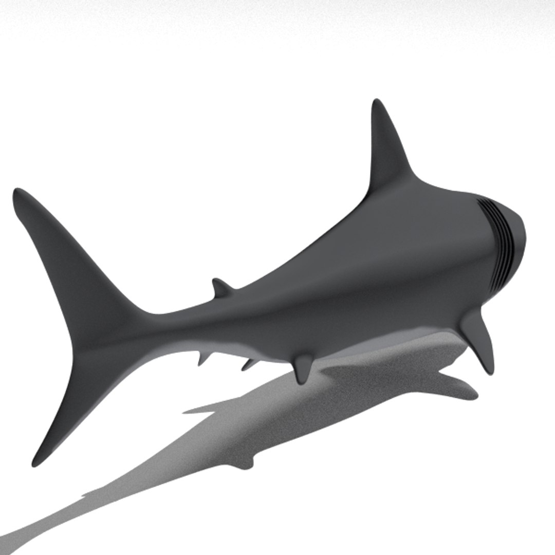 free big shark animation 3d model https://p.turbosquid.com/ts-thumb/rM/cvQzGZ/IRYpiUNG/shark002foto13/png/1484599538/1920x1080/fit_q87/8f235b8260a5818f42f32454a7d7e3c0ce9711a8/shark002foto13.jpg
