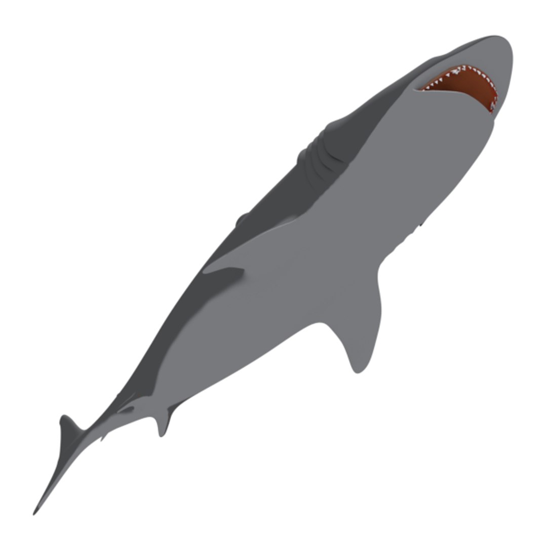 free big shark animation 3d model https://p.turbosquid.com/ts-thumb/rM/cvQzGZ/NRuCc1ZW/shark002foto14/png/1484599550/1920x1080/fit_q87/de595c86f7e29fcca0024b563bb4c853054f1c28/shark002foto14.jpg