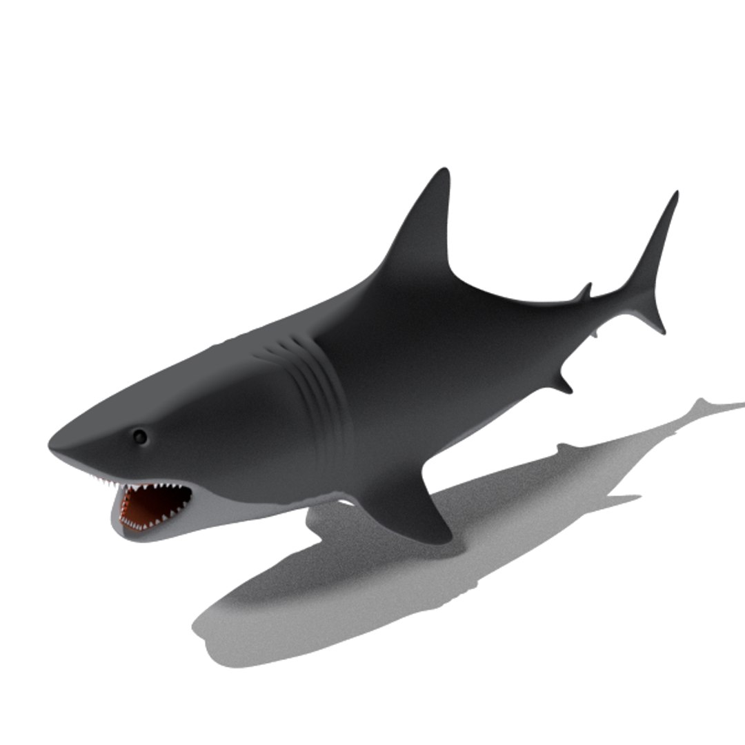 free big shark animation 3d model https://p.turbosquid.com/ts-thumb/rM/cvQzGZ/RWrEy6lY/shark002wireframe1/png/1484580901/1920x1080/fit_q87/1ee32a3b5179af6465a993c89bcece9dcb132f34/shark002wireframe1.jpg