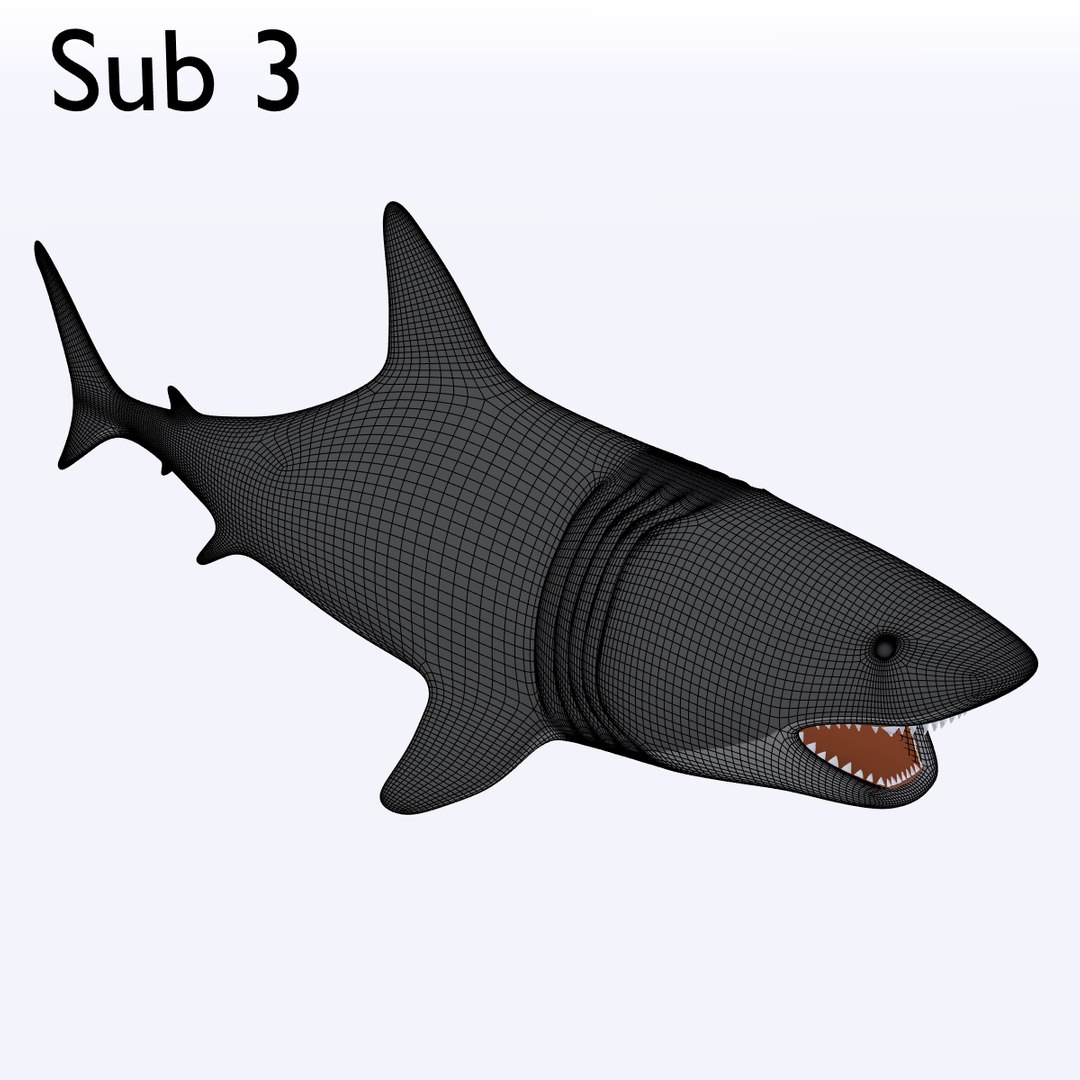 free big shark animation 3d model https://p.turbosquid.com/ts-thumb/rM/cvQzGZ/WXGXb2US/sub3/png/1485177656/1920x1080/fit_q87/4006cf7b1d2e3ed4bb47b69bb13c0fcf6096d8a7/sub3.jpg