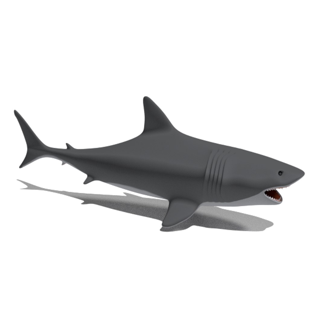free big shark animation 3d model https://p.turbosquid.com/ts-thumb/rM/cvQzGZ/ZxoDkoos/shark002foto3/png/1484580743/1920x1080/fit_q87/05f210665eb70081d390c21ba85fd0d9a93c60a4/shark002foto3.jpg