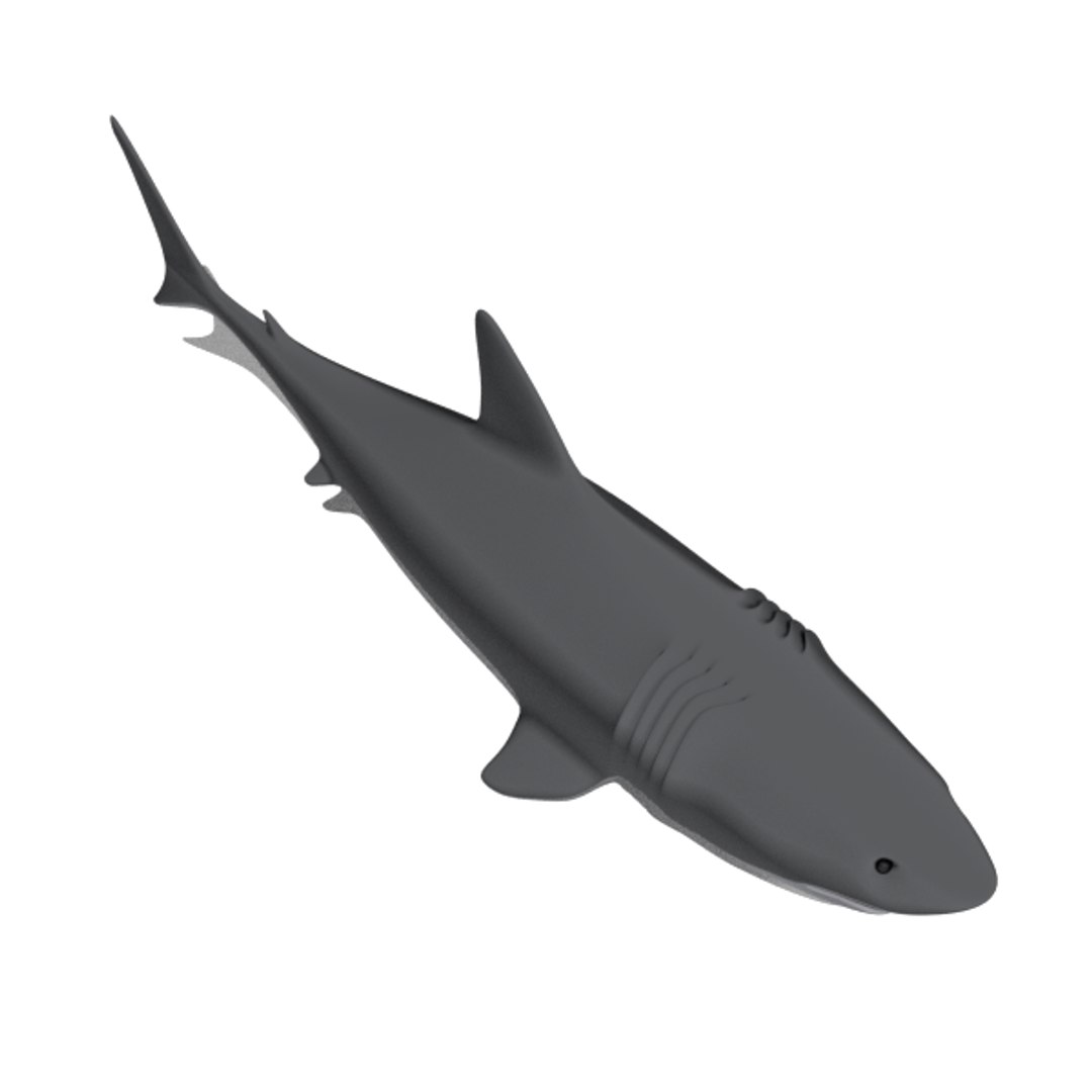 free big shark animation 3d model https://p.turbosquid.com/ts-thumb/rM/cvQzGZ/iOK5ym7H/shark002foto6/png/1484580754/1920x1080/fit_q87/3ce710f57a9f92a8de7027c9ada7391b9a46fe28/shark002foto6.jpg