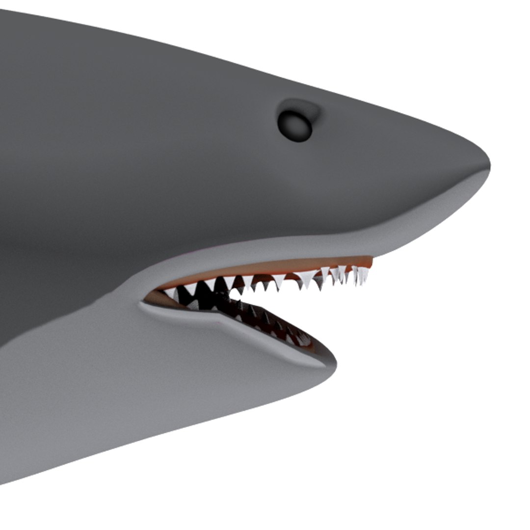 free big shark animation 3d model https://p.turbosquid.com/ts-thumb/rM/cvQzGZ/rKvFdl2V/shark002foto5/png/1484580717/1920x1080/fit_q87/661e8477c9154e4c8e56f72cf7716c54f025a6d4/shark002foto5.jpg