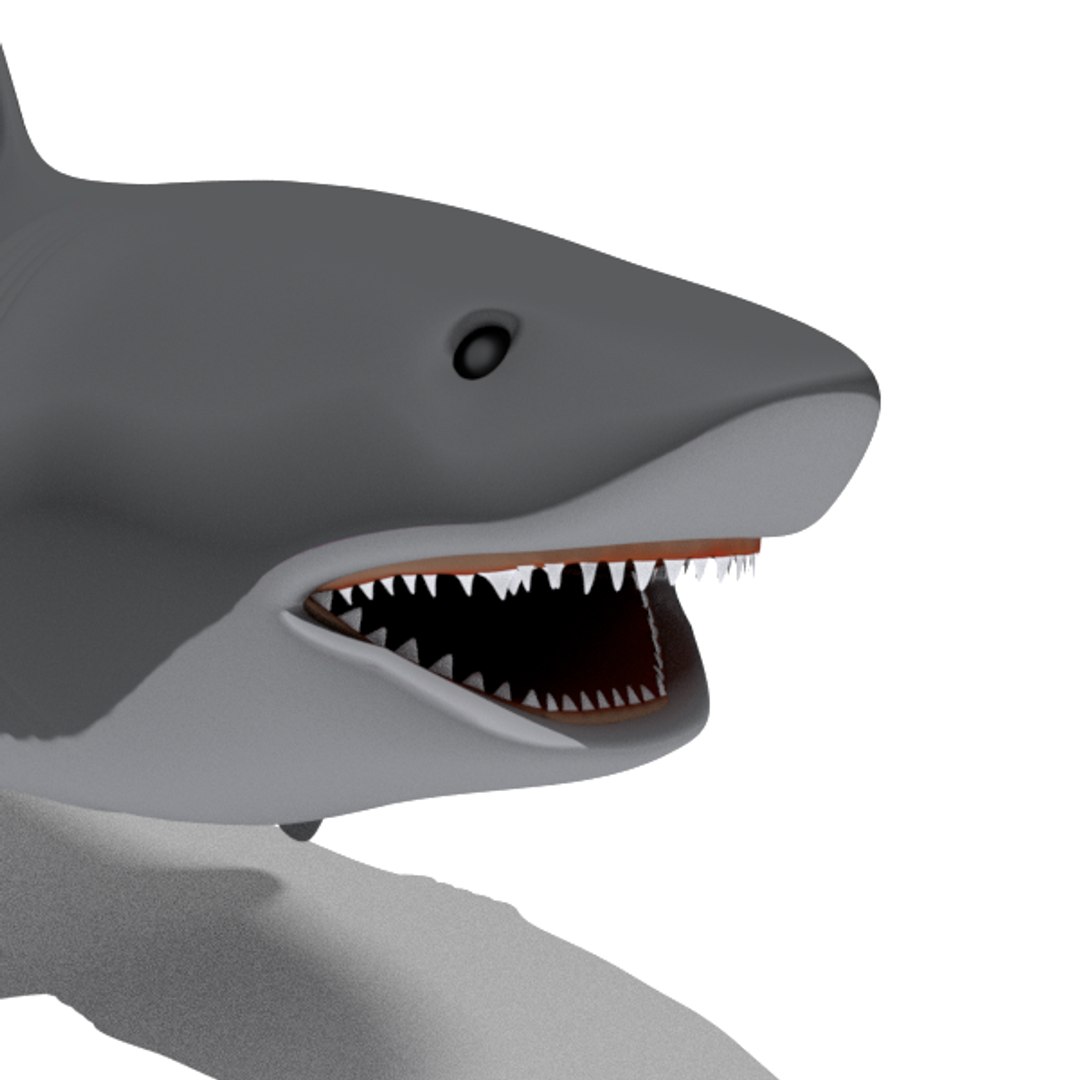 free big shark animation 3d model https://p.turbosquid.com/ts-thumb/rM/cvQzGZ/zT0Qkwcn/shark002wireframe4/png/1484580932/1920x1080/fit_q87/e0851cacf2da42e1b27282be8e7c2b49d4e604eb/shark002wireframe4.jpg