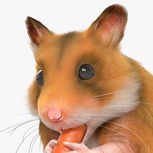 Syrian Hamster Eating Animated Fur Rigged For Blender 3D model