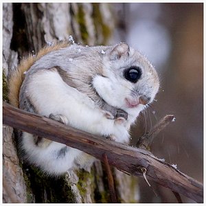 3D QA Test - Duplicate Search Image 2